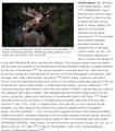 Elands Skin Update 06022018.JPG